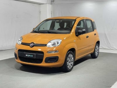 Fiat Panda 1.2 Pop del 2020 usata a Caspoggio