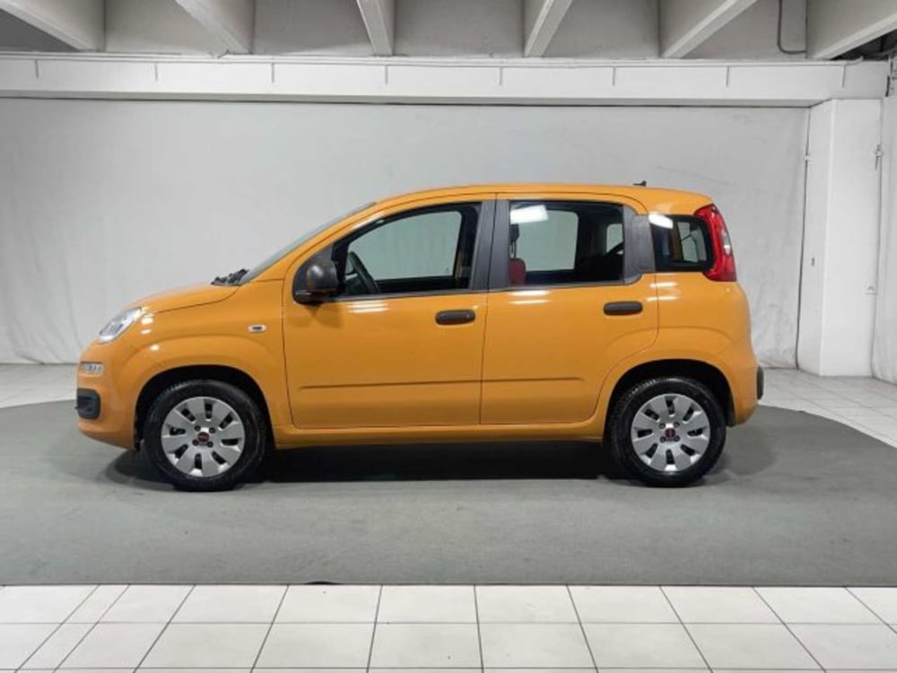 Fiat Panda usata a Sondrio (2)