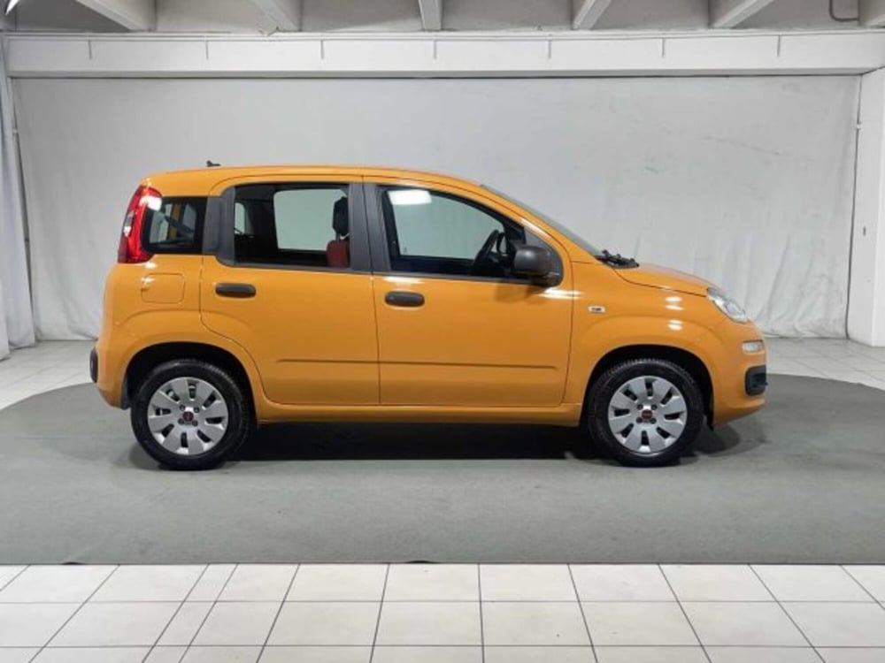 Fiat Panda usata a Sondrio (6)