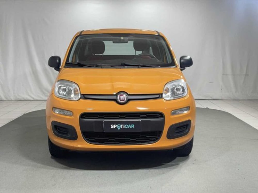 Fiat Panda usata a Sondrio (8)