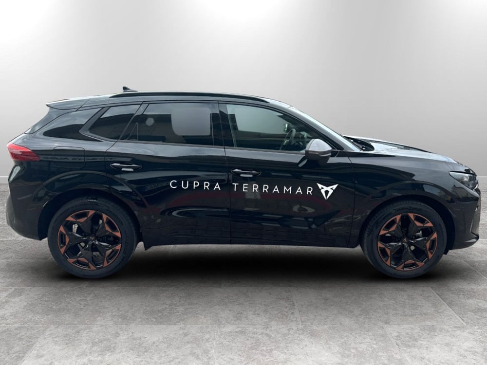 Cupra Terramar usata a Arezzo (3)