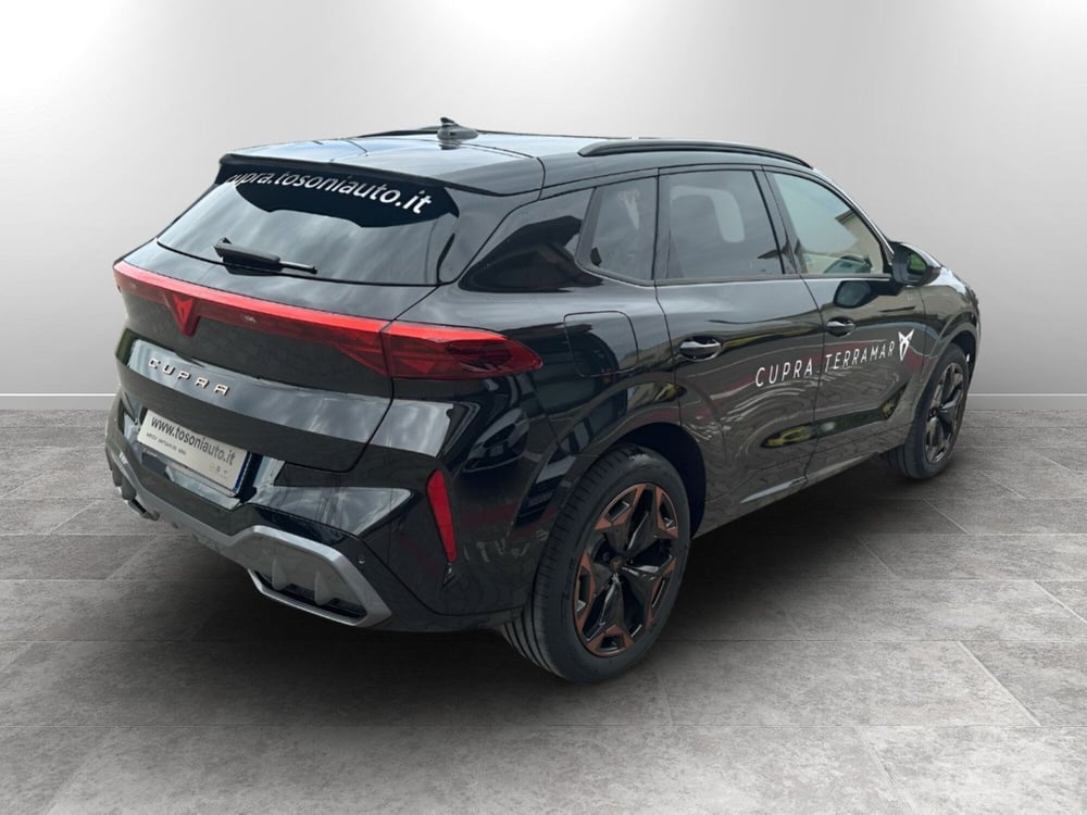 Cupra Terramar usata a Arezzo (4)