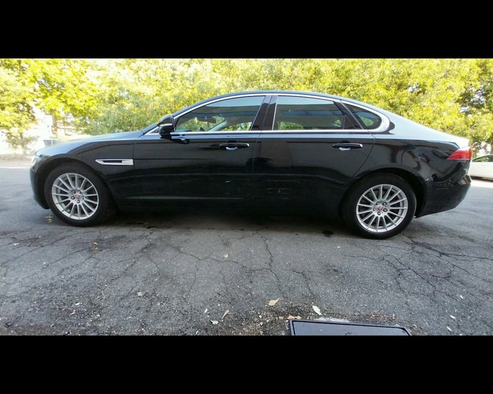 Jaguar XF usata a Forlì-Cesena (6)