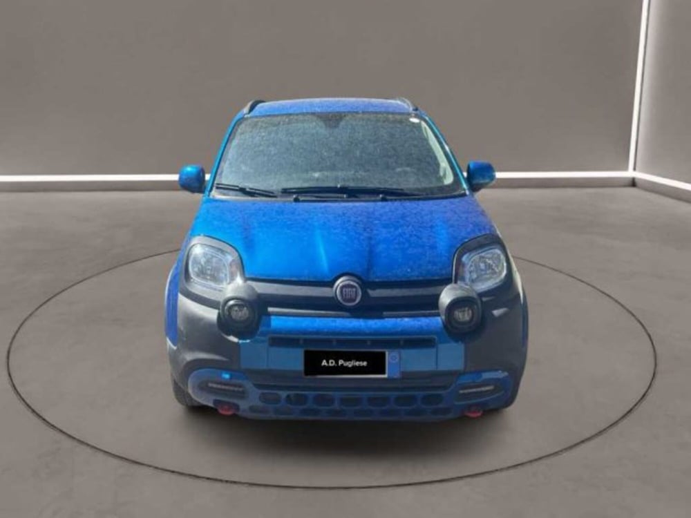 Fiat Panda Cross usata a Caltanissetta (16)