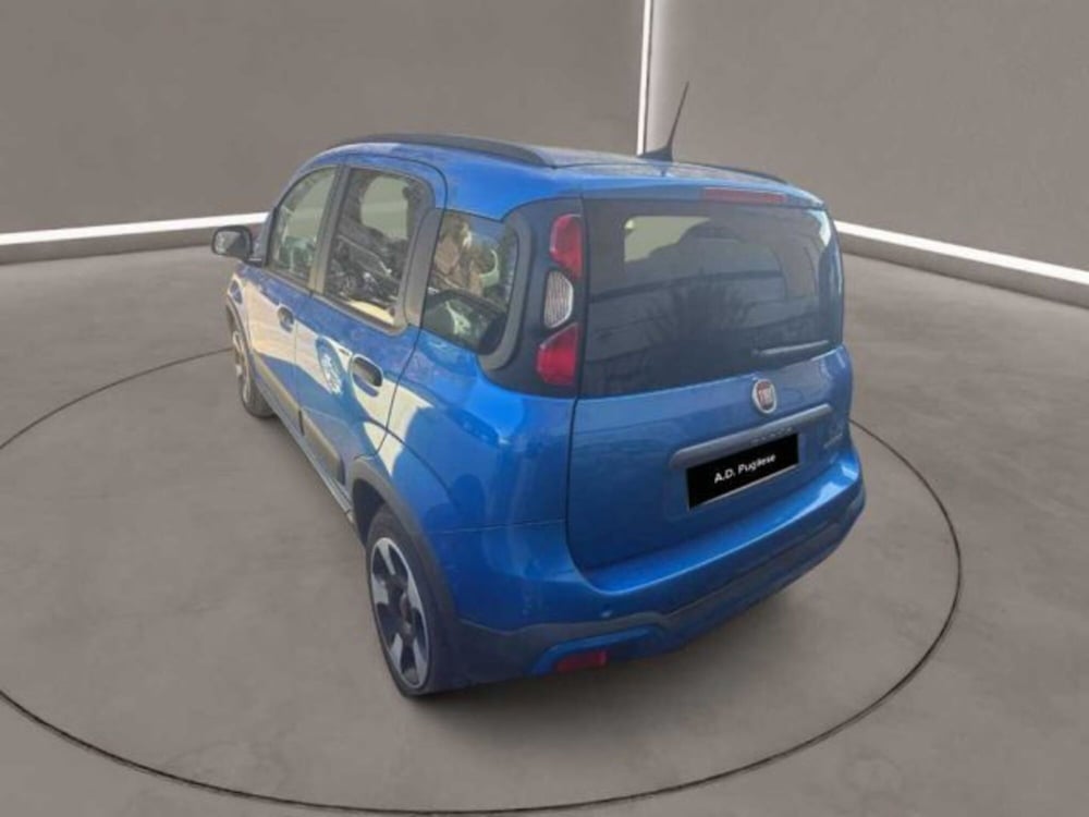 Fiat Panda Cross usata a Caltanissetta (2)