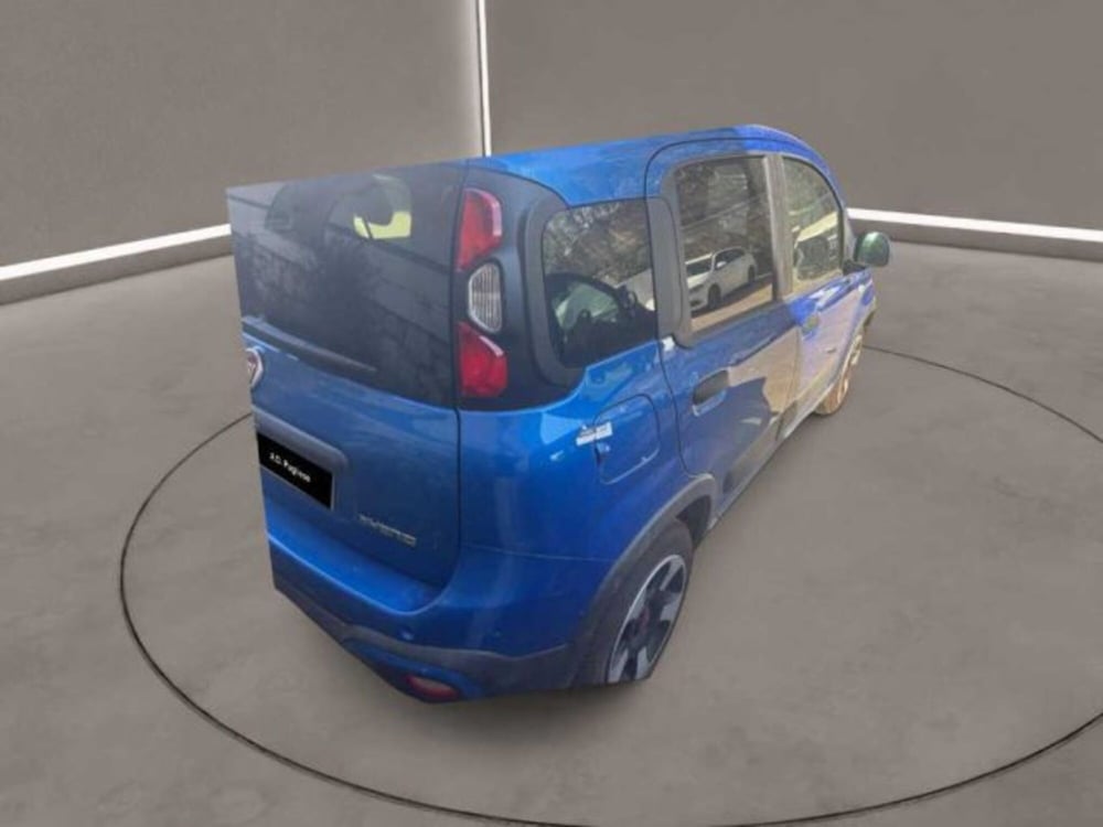 Fiat Panda Cross usata a Caltanissetta (3)