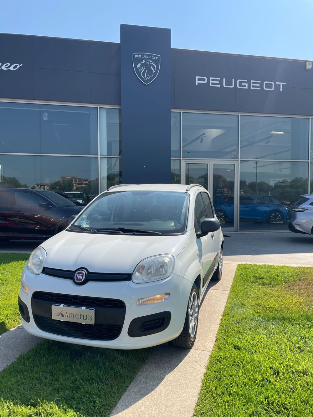 Fiat Panda usata a Sassari (3)
