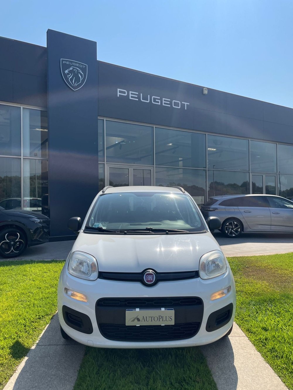 Fiat Panda usata a Sassari (6)