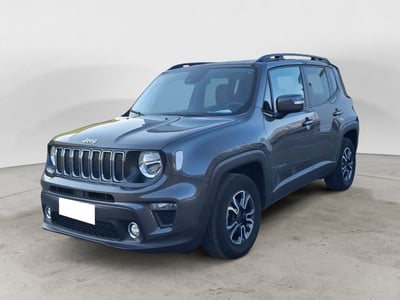 Jeep Renegade 1.0 T3 Business del 2019 usata a Sala Consilina