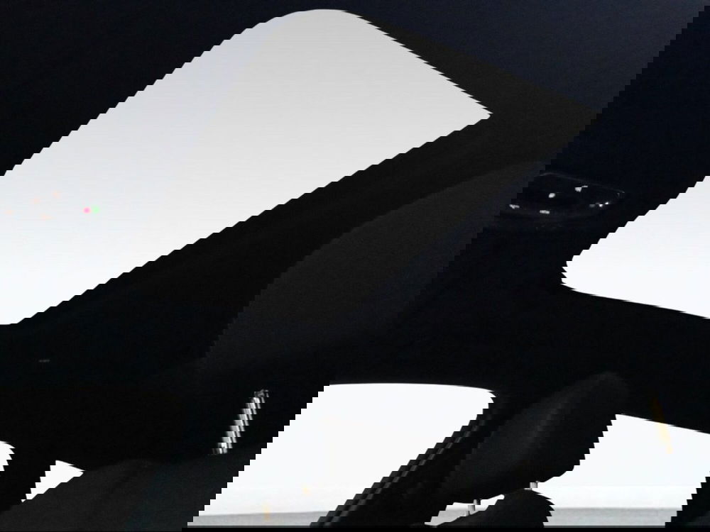 Audi A6 Avant usata a Firenze (18)