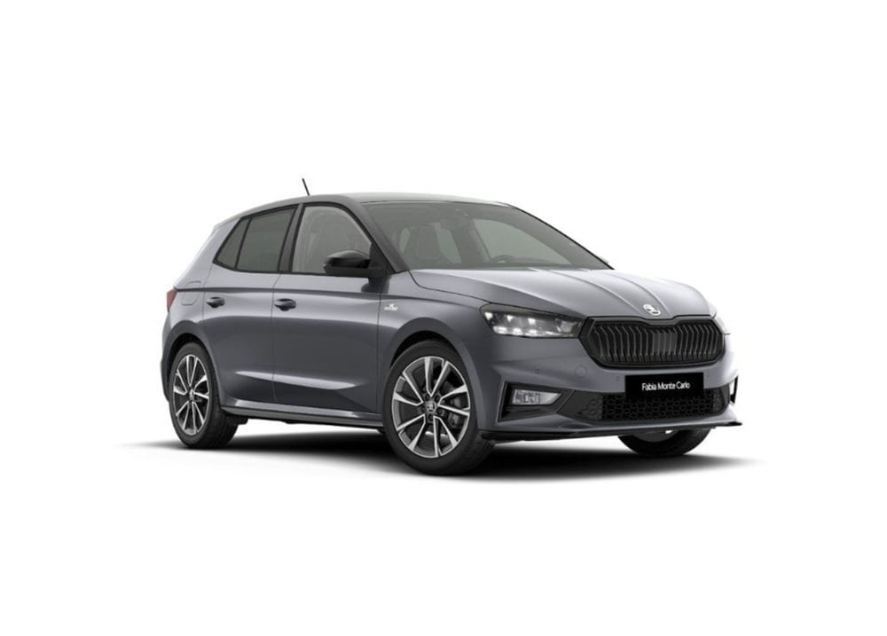 Skoda Fabia nuova a Torino