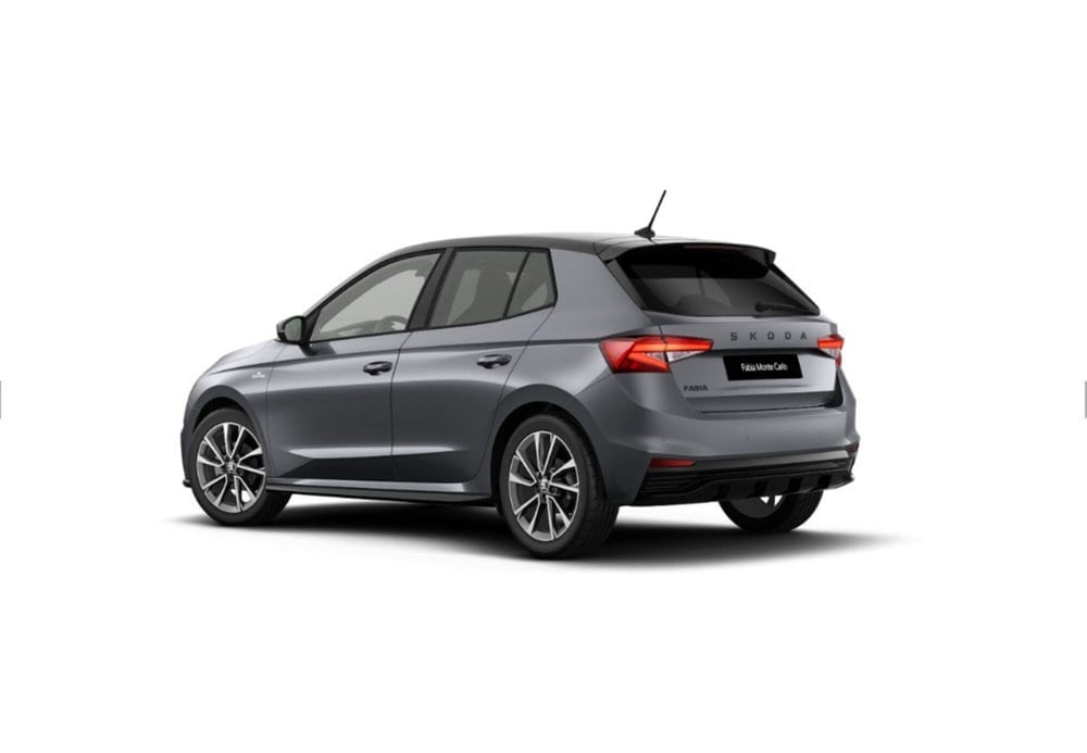 Skoda Fabia nuova a Torino (3)