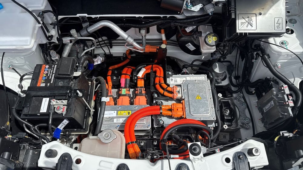 Dacia Spring usata a Treviso (18)