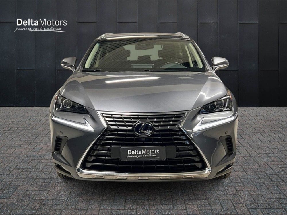Lexus NX usata a Macerata (2)