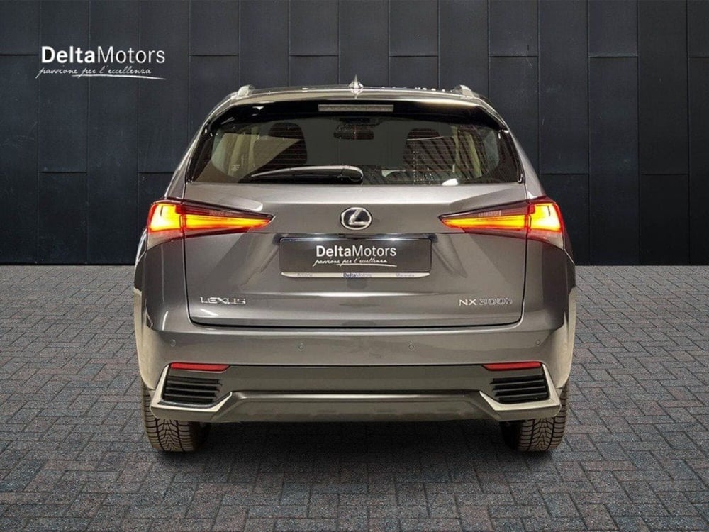 Lexus NX usata a Macerata (6)