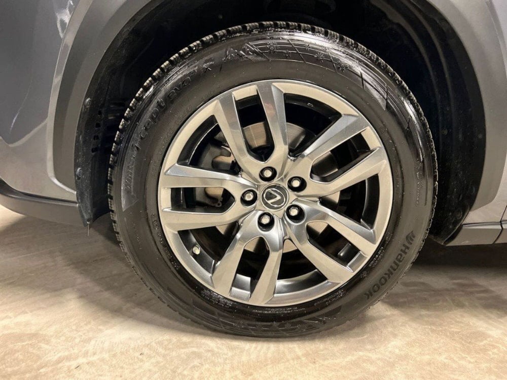 Lexus NX usata a Macerata (8)