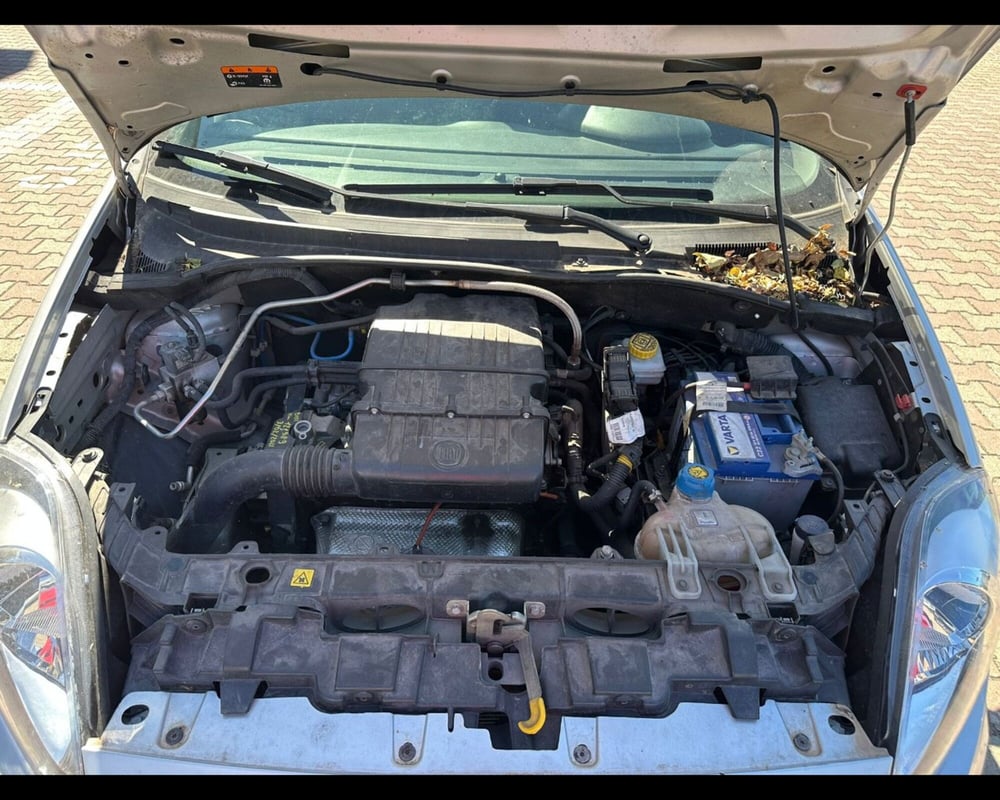 Fiat Punto usata a Siena (14)