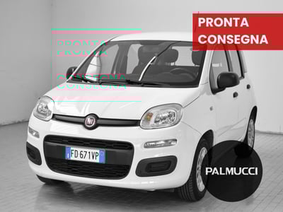Fiat Panda 1.2 Easy del 2016 usata a Prato