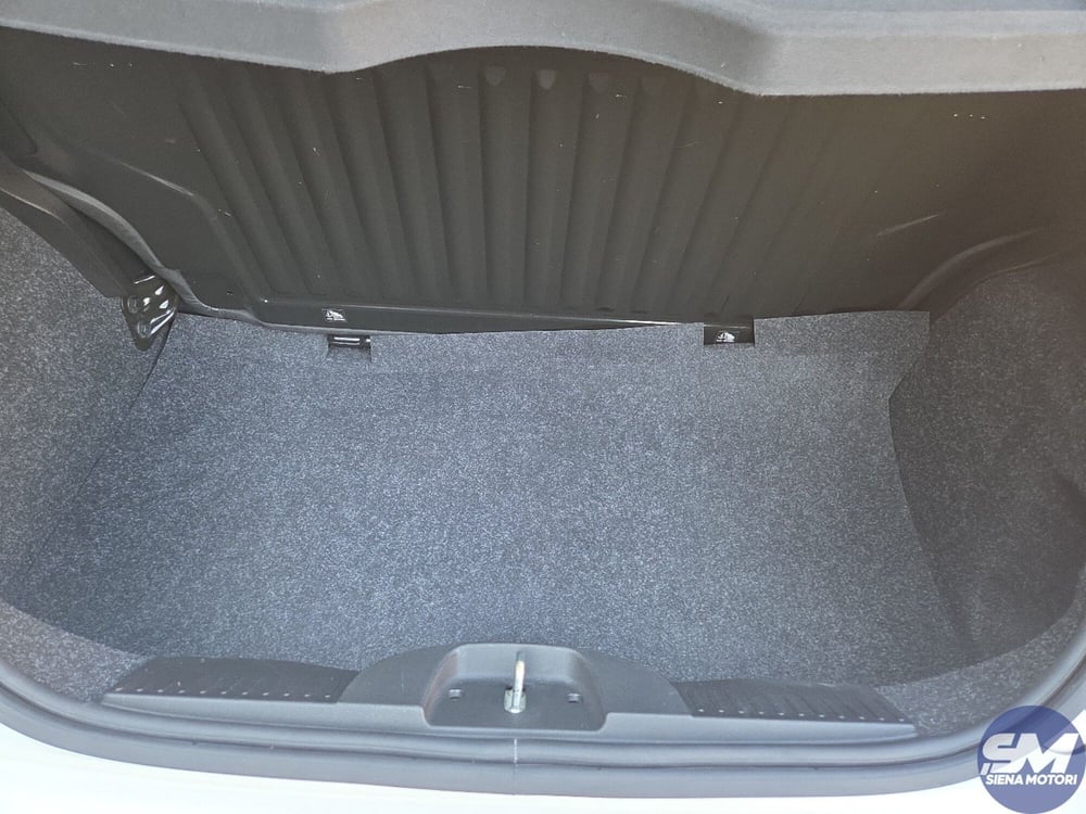 Fiat 500 usata a Siena (18)