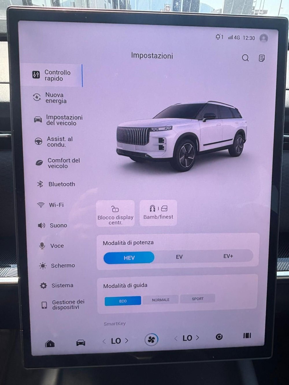 Jaecoo Jaecoo 7 Super Hybrid nuova a Frosinone (14)