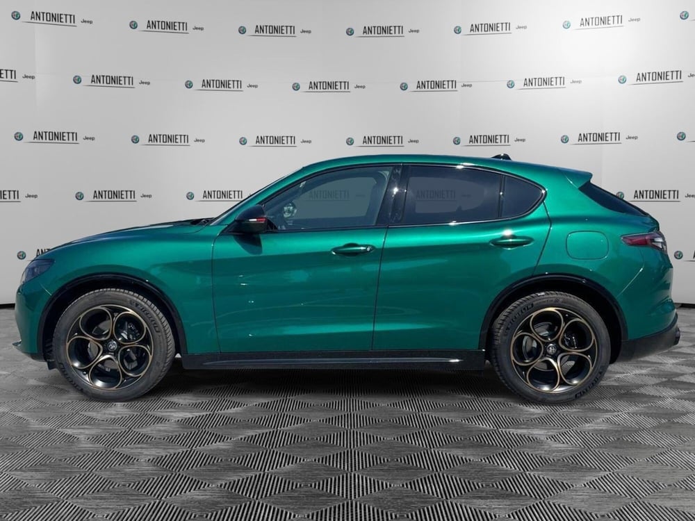 Alfa Romeo Stelvio nuova a Ancona (8)