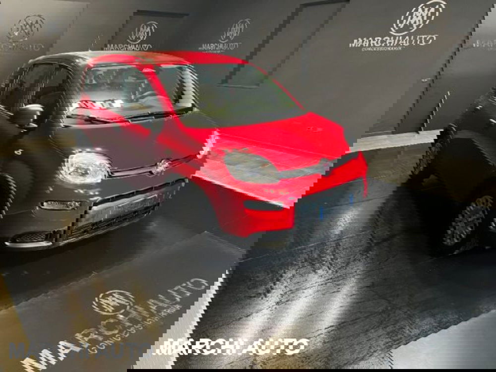 Fiat Panda nuova a Perugia (3)