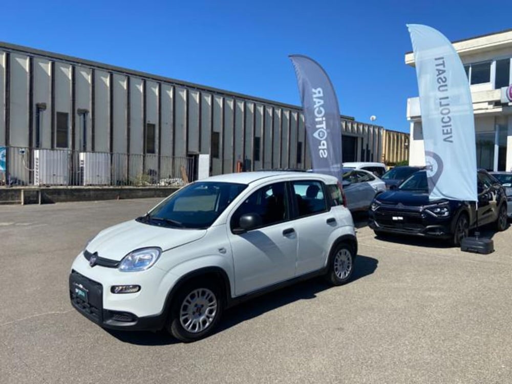 Fiat Panda usata a Firenze