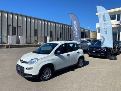 Fiat Panda 1.0 firefly hybrid s&amp;s 70cv 5p.ti del 2023 usata a Borgo San Lorenzo