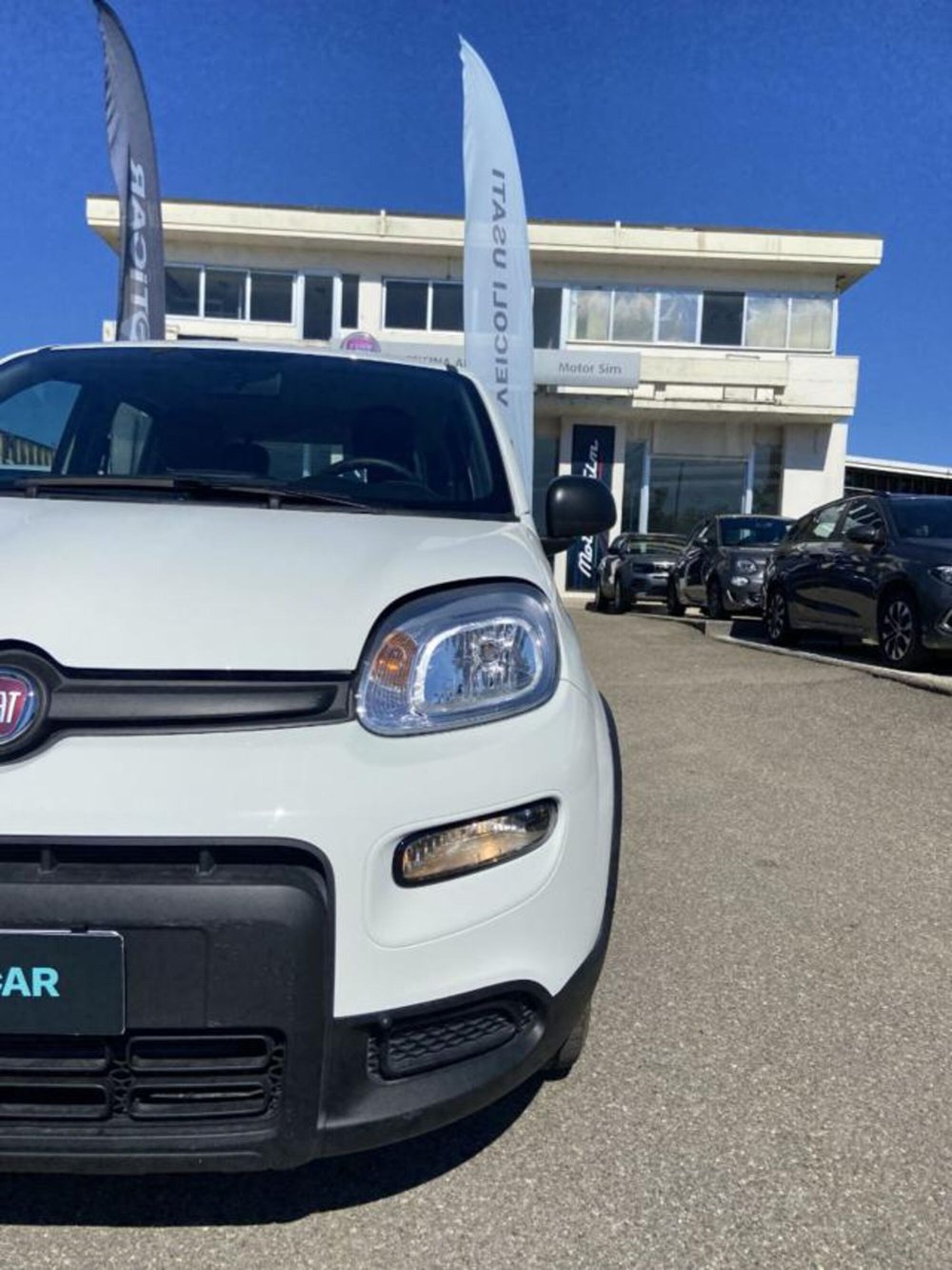 Fiat Panda usata a Firenze (16)