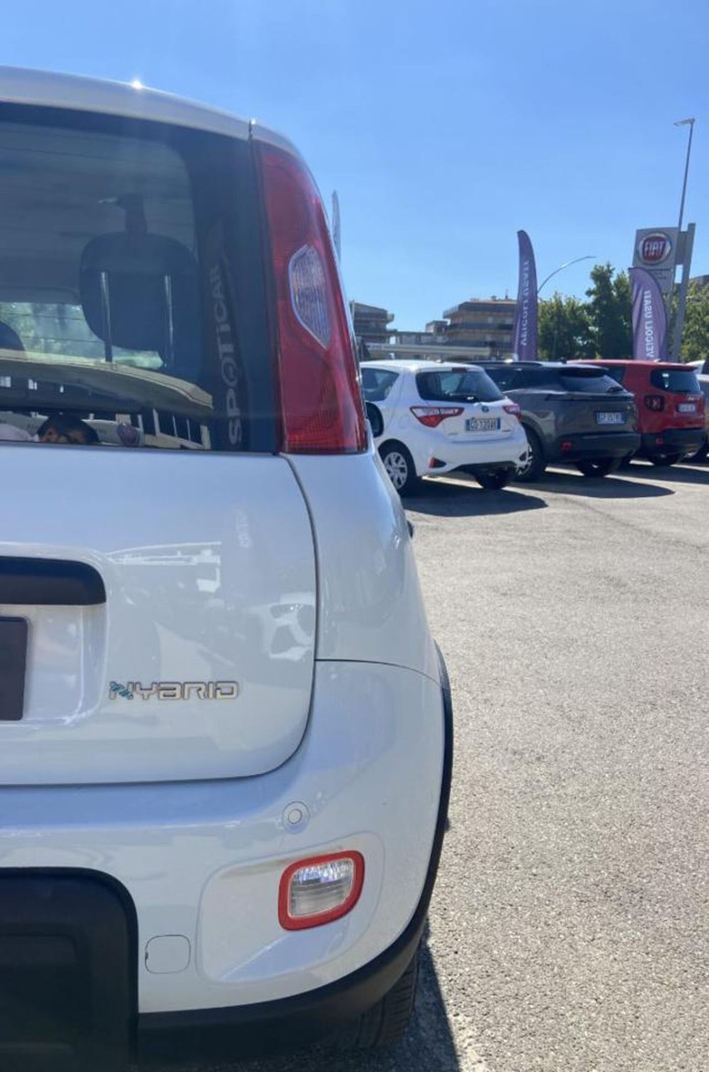 Fiat Panda usata a Firenze (17)
