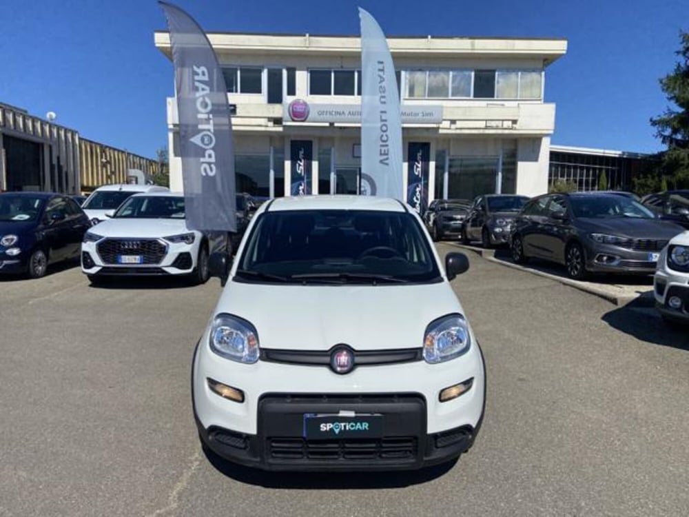 Fiat Panda usata a Firenze (2)