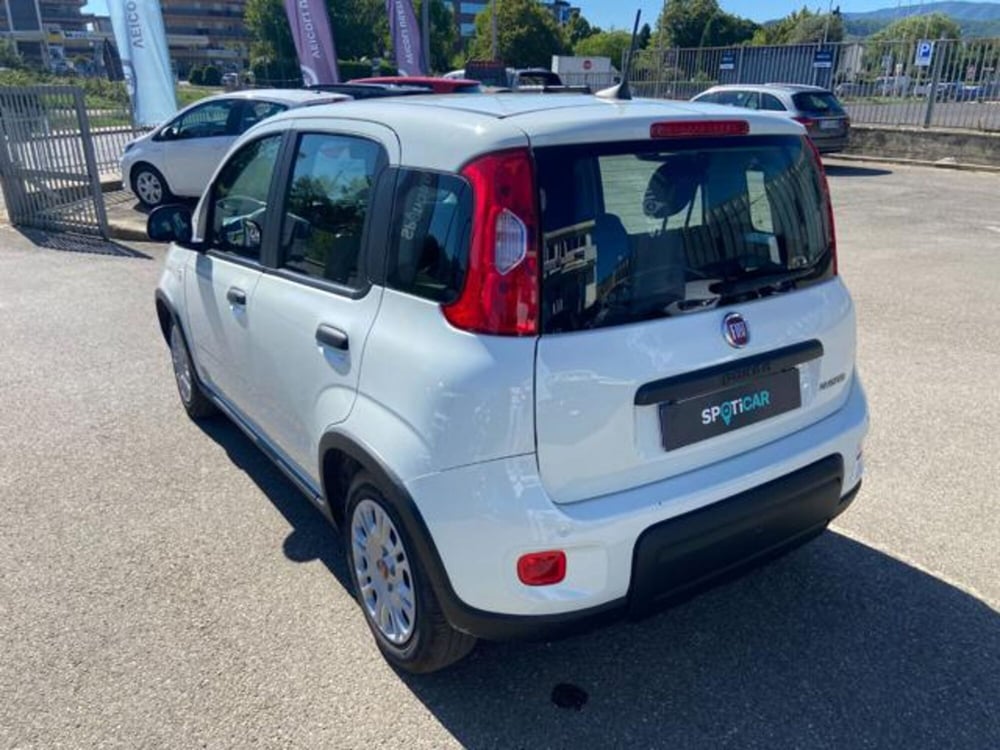 Fiat Panda usata a Firenze (20)