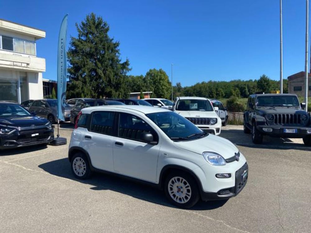Fiat Panda usata a Firenze (3)