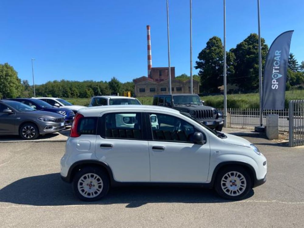 Fiat Panda usata a Firenze (4)
