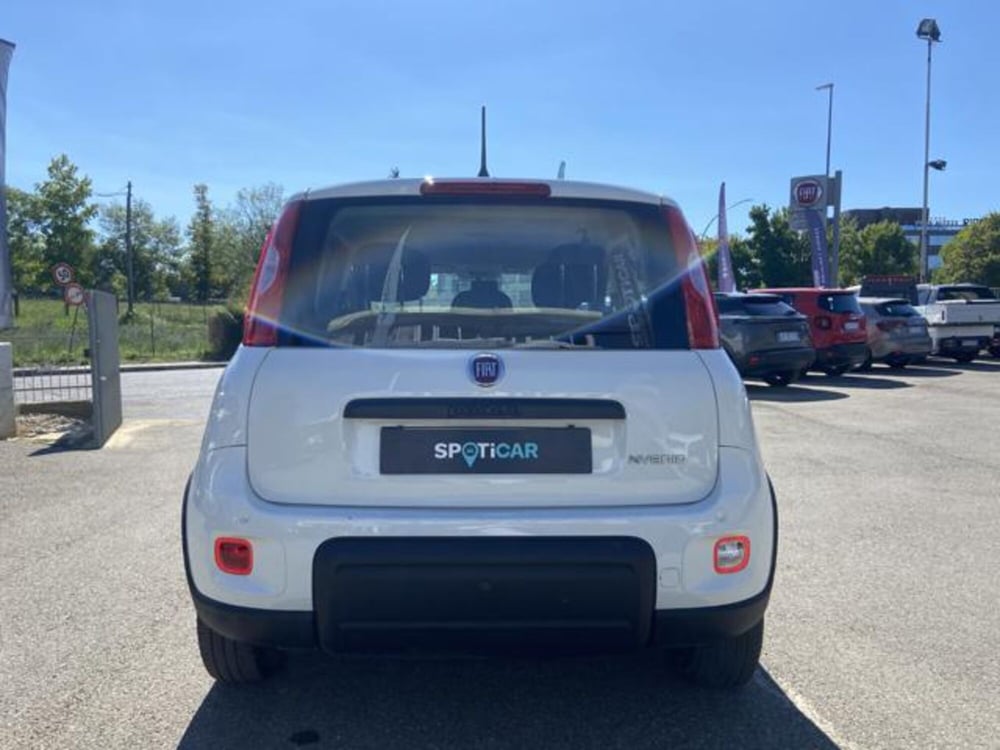 Fiat Panda usata a Firenze (5)