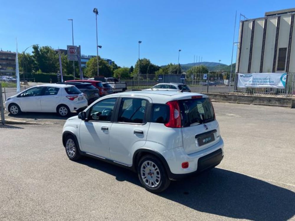Fiat Panda usata a Firenze (7)
