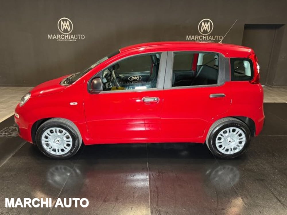 Fiat Panda nuova a Perugia (8)