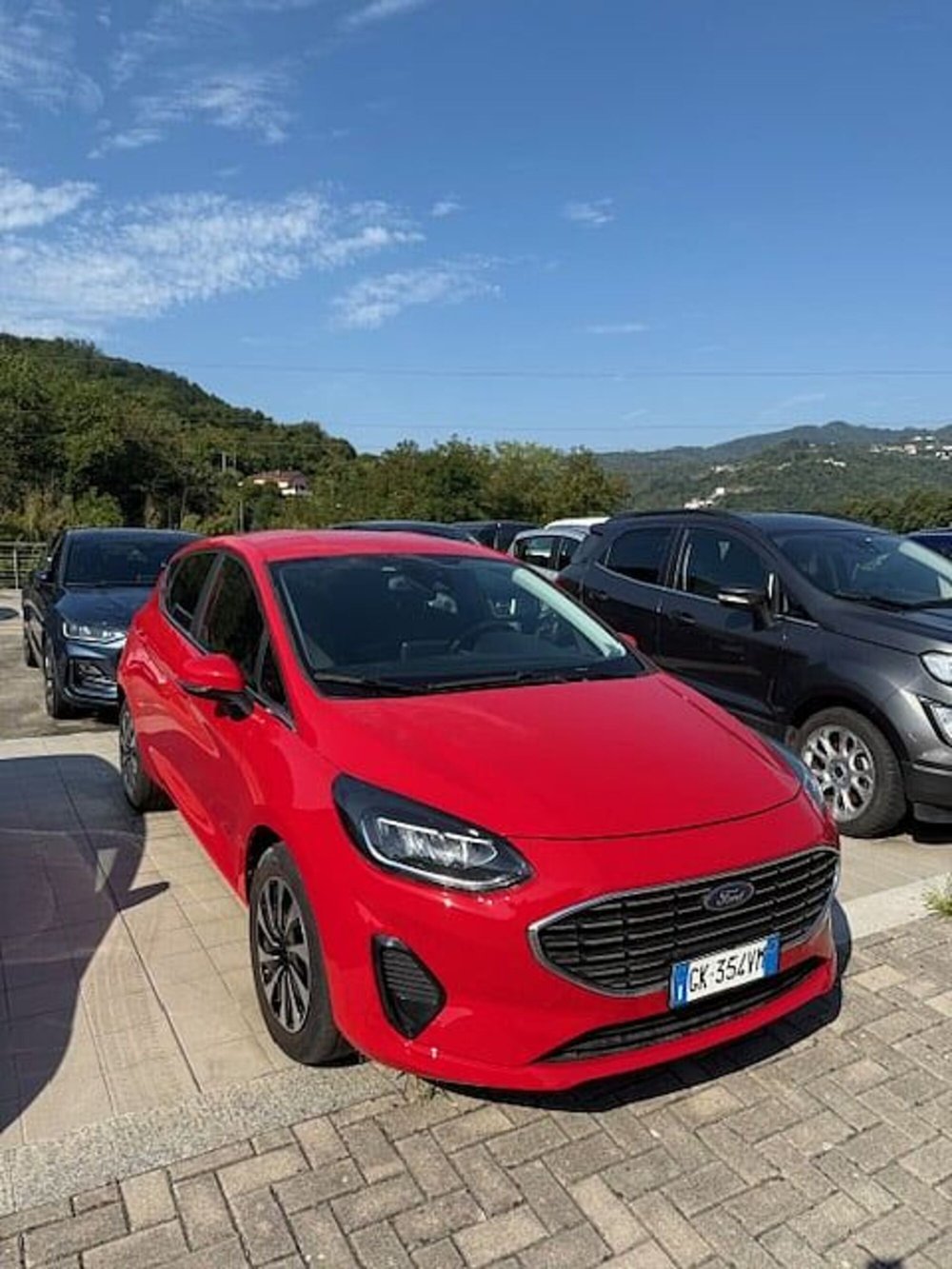 Ford Fiesta usata a La Spezia (3)