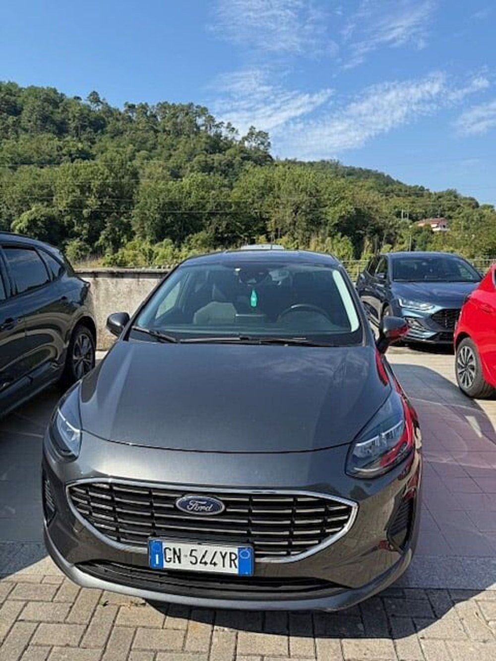 Ford Fiesta usata a La Spezia