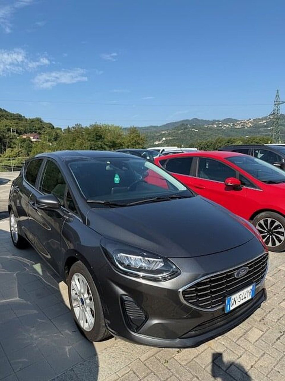 Ford Fiesta usata a La Spezia (2)
