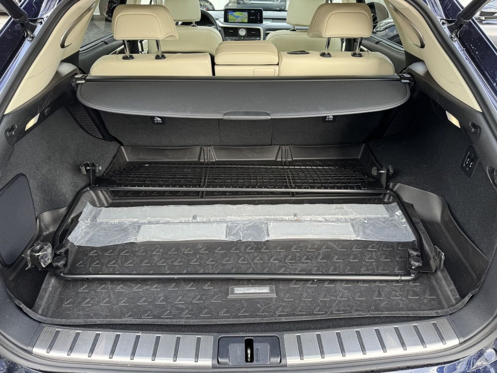 Lexus RX usata a Como (12)