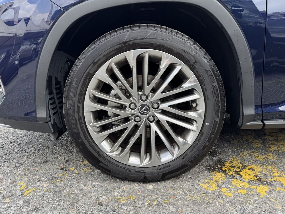 Lexus RX usata a Como (14)