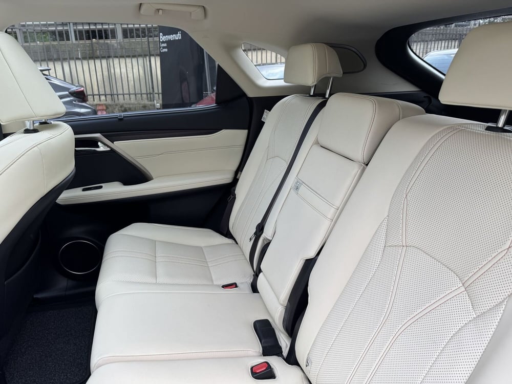 Lexus RX usata a Como (6)