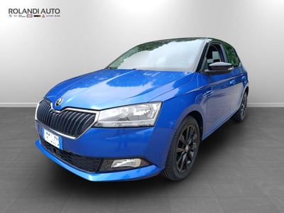 Skoda Fabia 1.0 TSI Business del 2019 usata a Alessandria