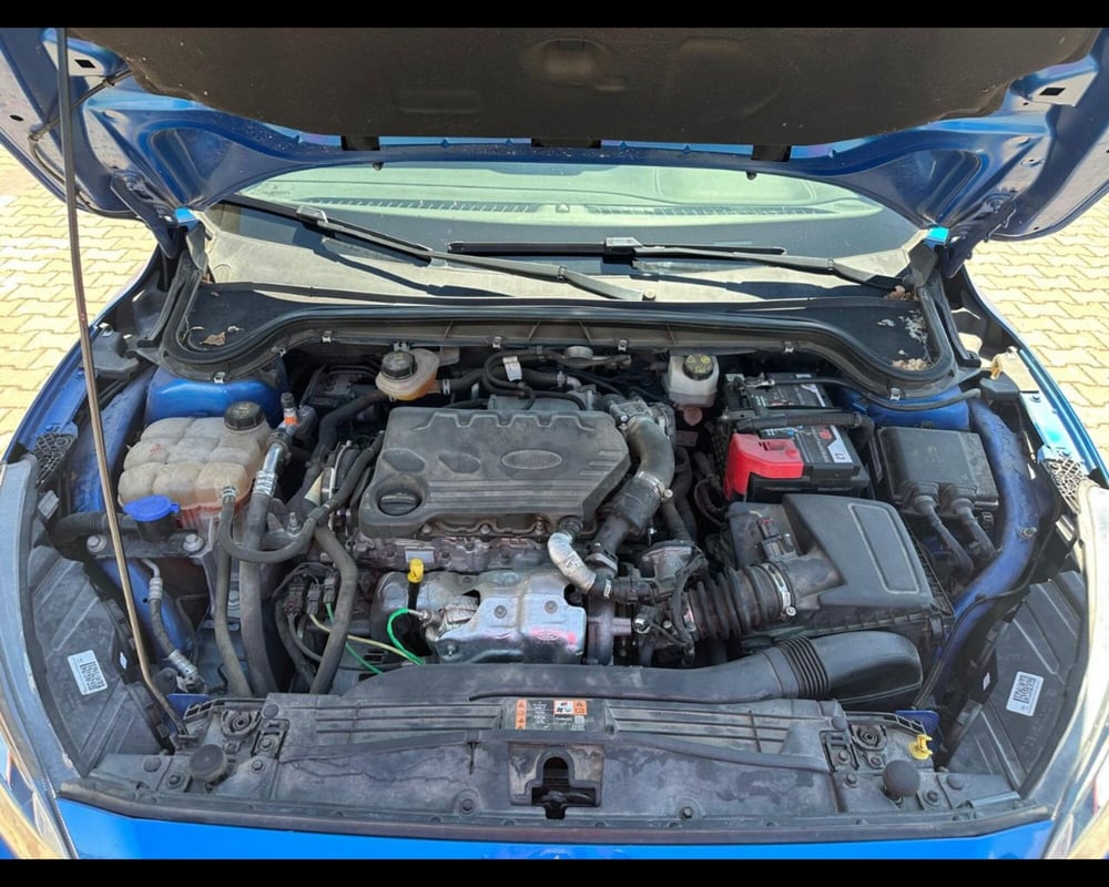 Ford Focus usata a Siena (14)
