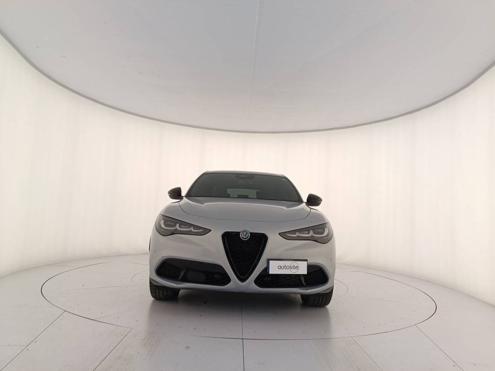 Alfa Romeo Stelvio usata a Treviso (2)