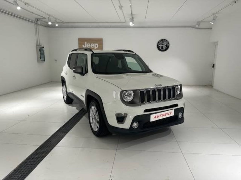 Jeep Renegade usata a Treviso (3)
