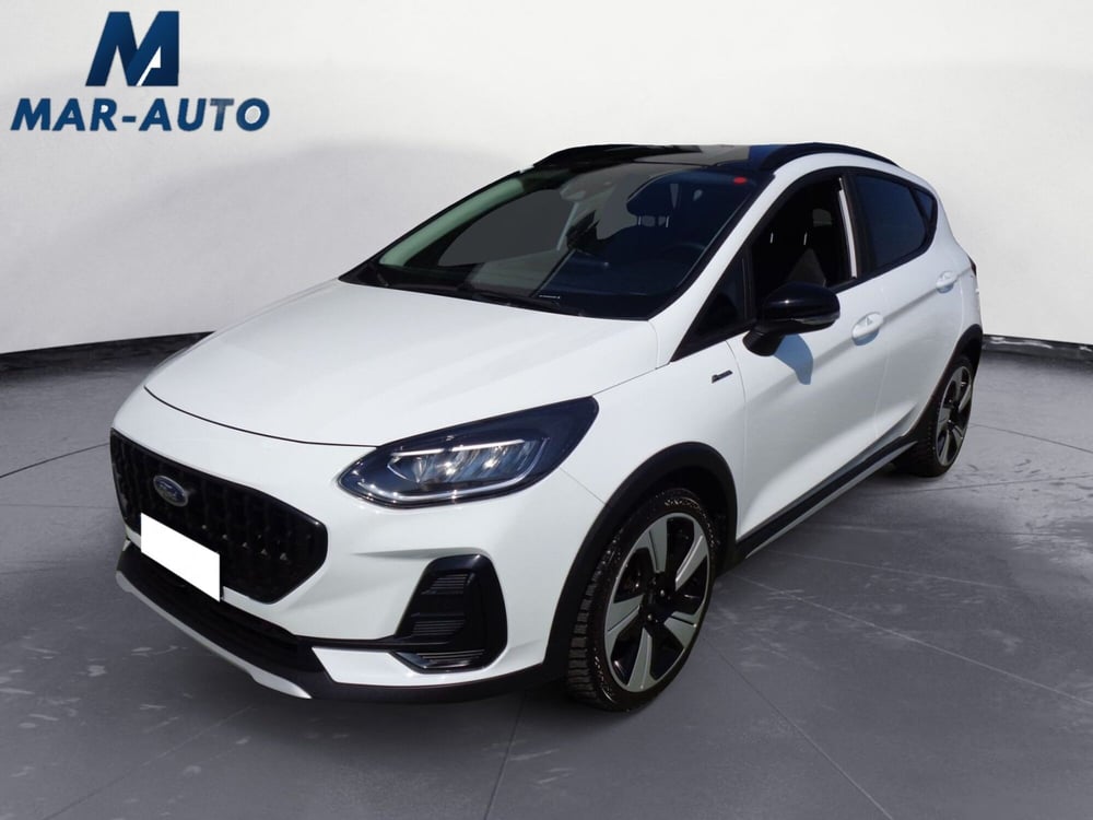 Ford Fiesta usata a Treviso