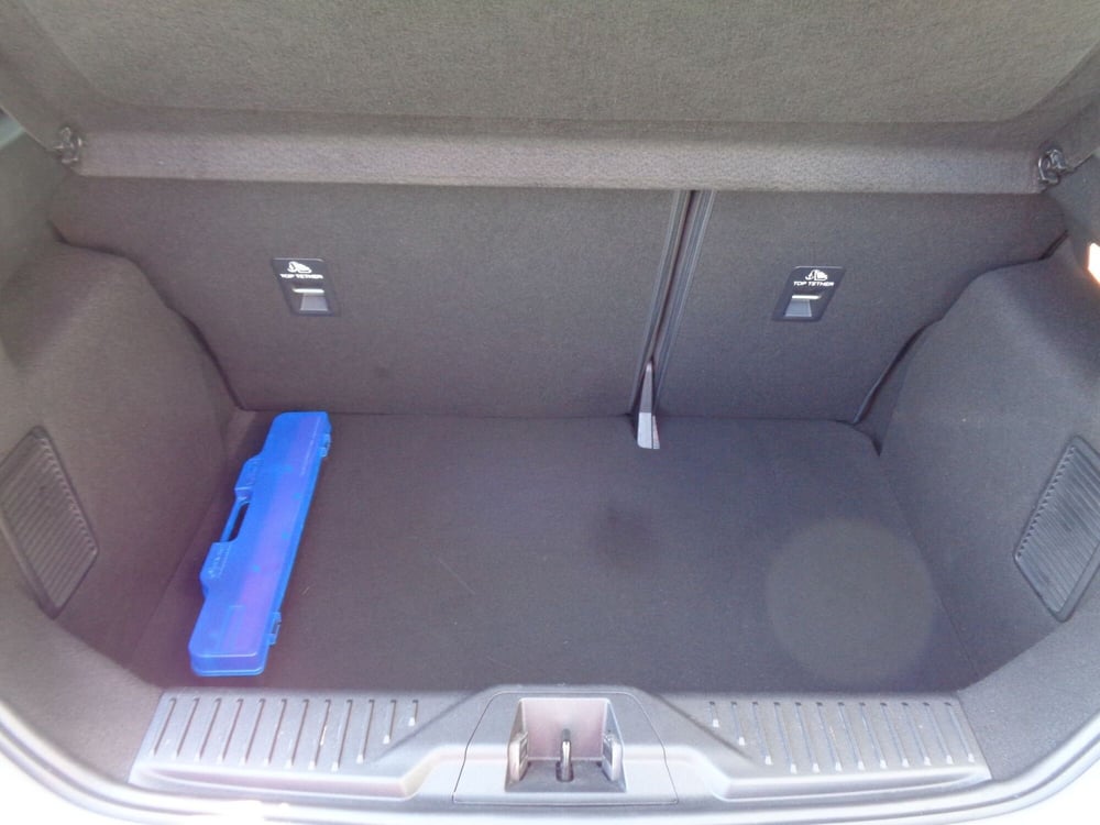 Ford Fiesta usata a Treviso (16)