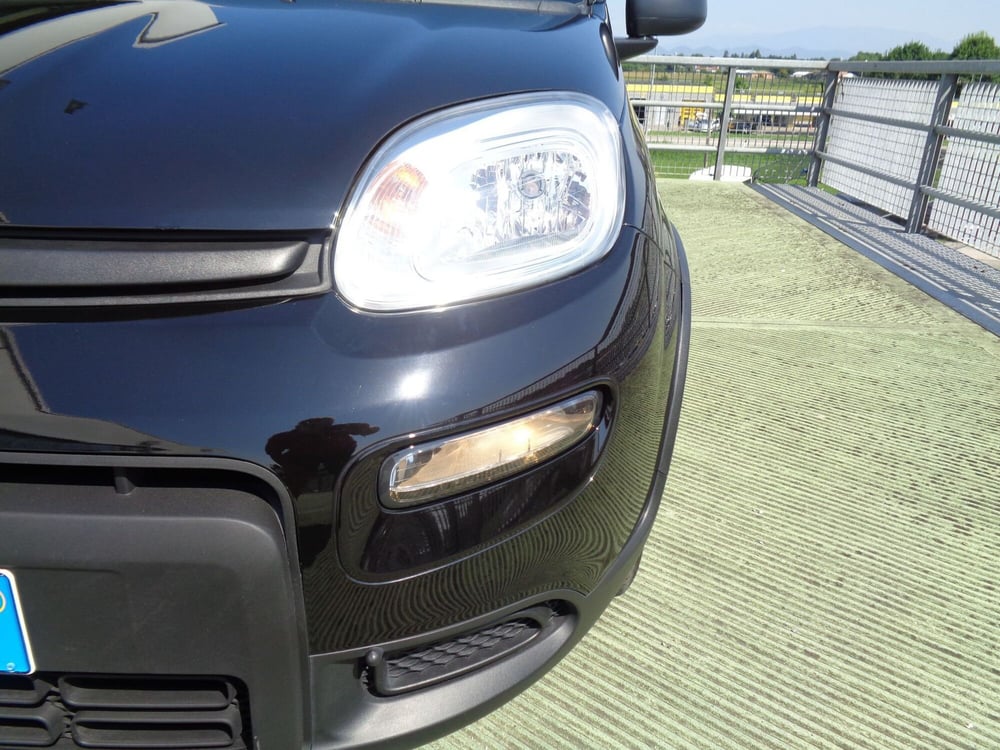 Fiat Panda usata a Treviso (5)